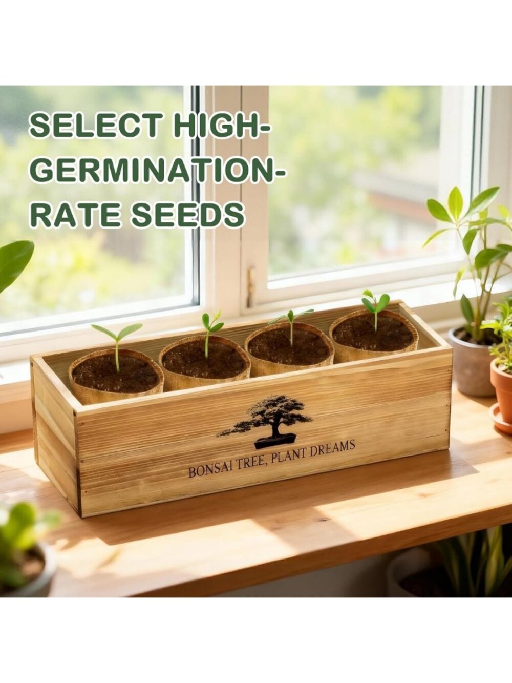 Complete Bonsai Tree Growing Kit - Perfect Gardening Gift for Plant Lovers - Picture 8 of 8